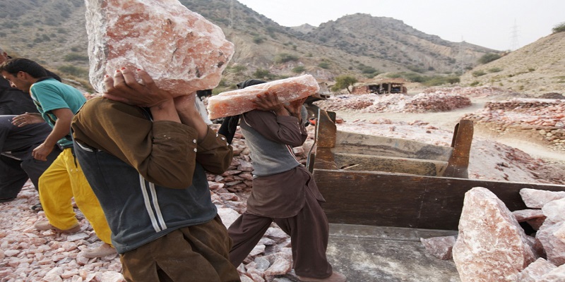 this image show workers are picking the Himalayan pink salt