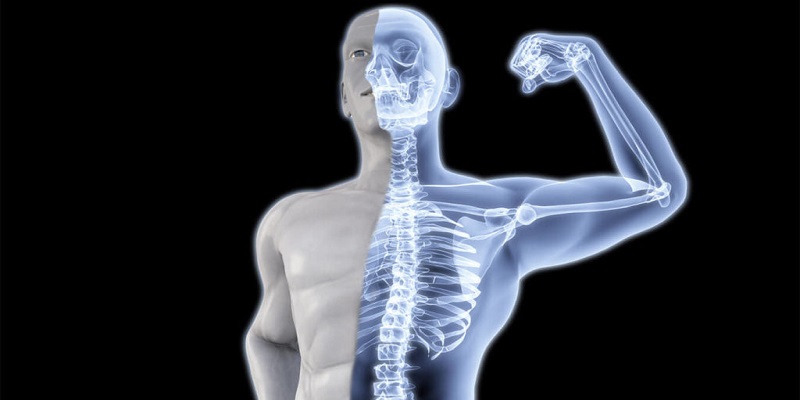 This image show that the persons have strong bones